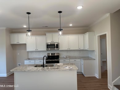 687 Lucas Ln, Hernando, MS 38632 - photo 4