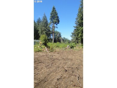 0 Miami Foley Rd unit 16504420, Nehalem, OR 97131 - photo 4