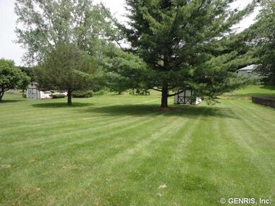 Yard Back yard