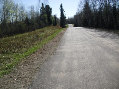 W9080 Blackhawk Rd, Tomahawk, WI 54487 - photo 4