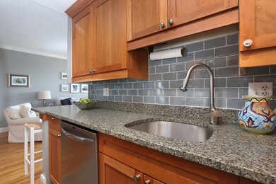 The Charlesview unit 706, Boston, MA 02215 - photo 3