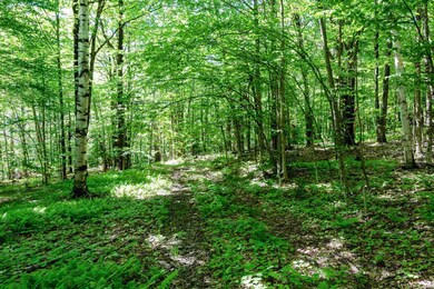 TBD Wade Pasture Rd unit Lot 90, Stowe, VT 05672 - photo 5