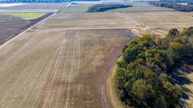 000 Highway 328, Reyno, AR 72462 - photo 7