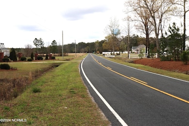 0 Cromartie Rd, Elizabethtown, NC 28337 - photo 5