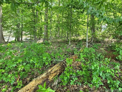 Interior of lot, lake to road view