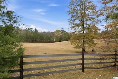 3090 Highway 51, Wilsonville, AL 35186 - photo 7