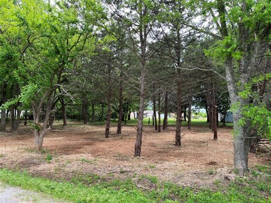 218 Willow Dr, Pottsboro, TX 75076 - photo 5