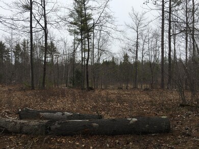 0 0 Spring Benson Rd unit 1489237, Newfield, ME 04095 - photo 2