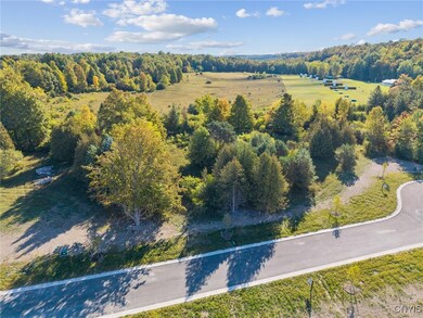 6542 Woodchuck Hill- Lot 6, Dewitt, NY 13078 - photo 5