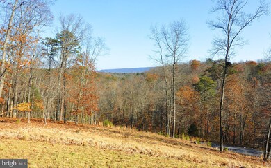 3481 Green Spring Rd, Winchester, VA 22603 - photo 3