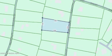 Lot D423 Panther Run Rd, Penn Forest Township, PA 18229 - photo 4