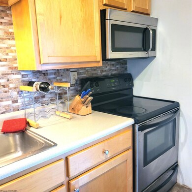 20 Pendletonheim Cir, Davis, WV 26260 - photo 7