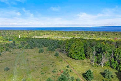 7341 Upper Bayshore Rd, Petoskey, MI 49720 - photo 6