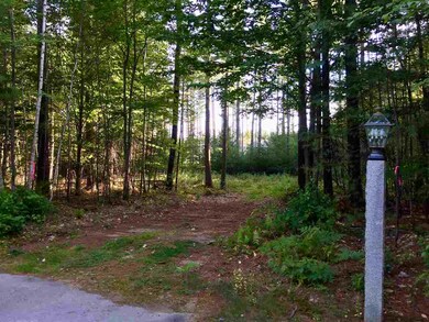 0 Poliquin Dr unit 46, Conway, NH 03818 - photo 3