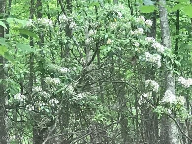 0 Barberry Lane & Apple Dr unit PWB192057, Milford, PA 18337 - photo 4