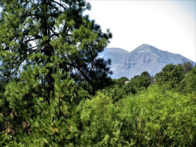 506 W Laredo Loop, Payson, AZ 85541 - photo 2