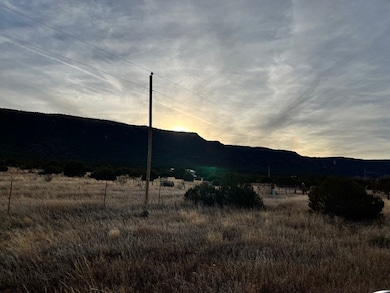 12 Metzger Dr, San Jose, NM 87565 - photo 2