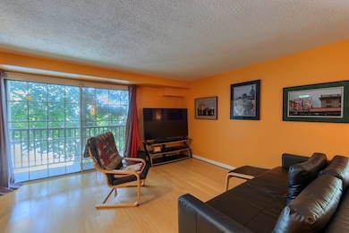 226 Cannongate III unit 226, Nashua, NH 03063 - photo 3