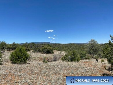 Tract B Hideaway Trail, Silver City, NM 88061 - photo 3