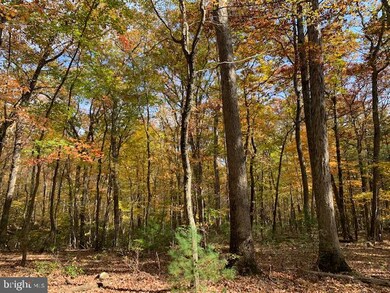 0 Barb unit VASH120806, Basye, VA 22844 - photo 4