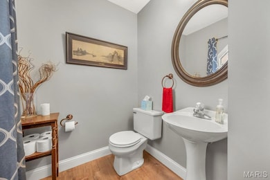 234 Autumn Mist Place, O Fallon, MO 63366 - photo 4