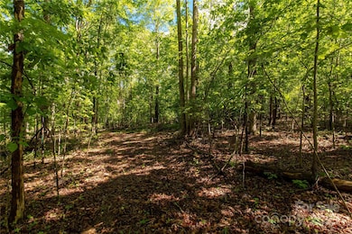 5212 Star Magnolia Ct, Clover, SC 29710 - photo 6