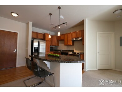 Vantage Pointe unit 133, Broomfield, CO 80020 - photo 2