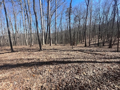 11.6 Acres Video Way, Newport, TN 37821 - photo 3