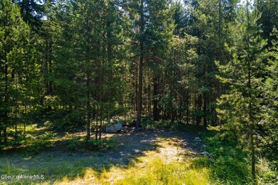 NNA Cheyenne Dr, Sagle, ID 83860 - photo 6