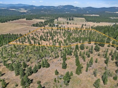 11512 E Bridges Rd, Elk, WA 99009 - photo 6