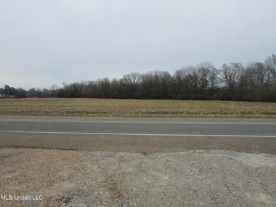 View Across the Street