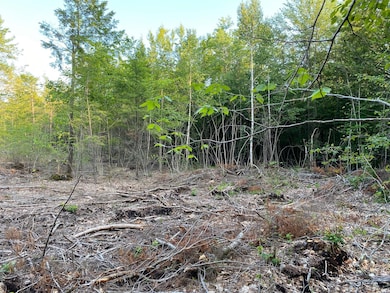 00 Great Falls Rd, Gorham, ME 04038 - photo 3