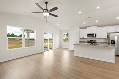 1496 Wild Indigo Way, Moore, SC 29369 - photo 6