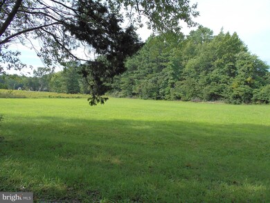 6234 Ocean Gateway, Trappe, MD 21673 - photo 4