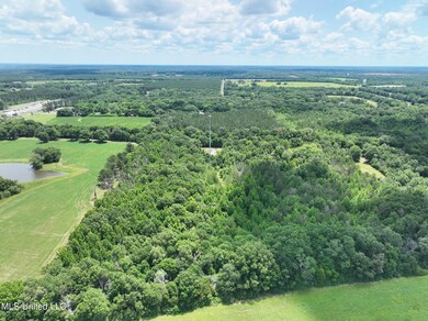 6 Land Fast Offers