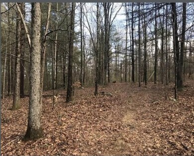 0 Ware St, Palmer, MA 01069 - photo 3