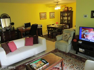 3714 N Rosser St unit 102, Alexandria, VA 22311 - photo 6