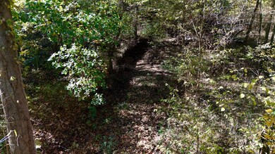 8449 Walnut Dr, Clark Fork Township, MO 65068 - photo 6