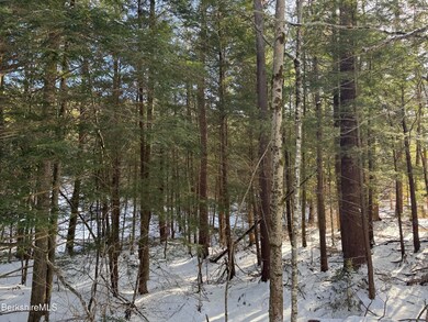 0 Tunnel Rd, Rowe, MA 01367 - photo 5