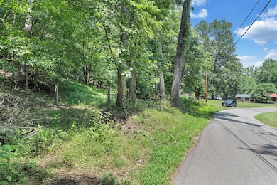 6133 Poor Mountain Rd, Salem, VA 24153 - photo 3