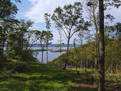 deer island river view