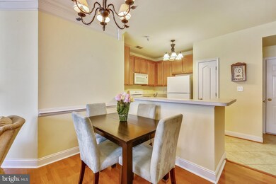 105 Bucksfield Rd unit A, Gaithersburg, MD 20878 - photo 6