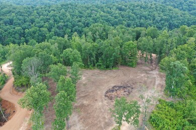 0 Highway 128 unit RTC2539766, Linden, TN 37096 - photo 2