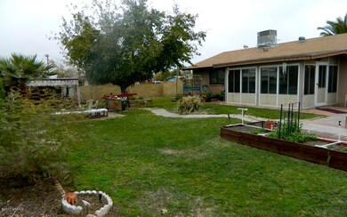 Back Yard 2