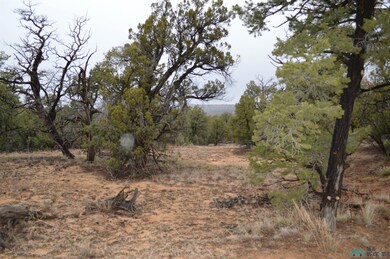 Lot 221 Delph Ct, Candy Kitchen, NM 87321 - photo 5