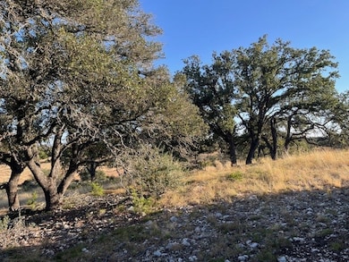 Tract 9 Rare Eagle Dr unit 9, Fredericksburg, TX 78624 - photo 3