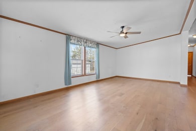 Living Room Windows