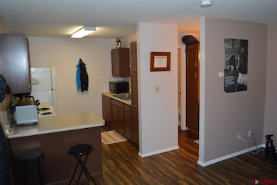 343 E 8th Ave unit 4, Durango, CO 81301 - photo 2
