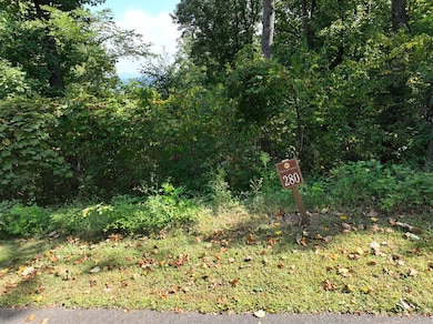 280 Andes Ridge, Ellijay, GA 30536 - photo 2