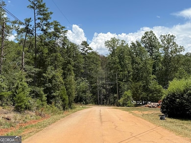 40 Tomahawk Trail, Martin, GA 30557 - photo 5